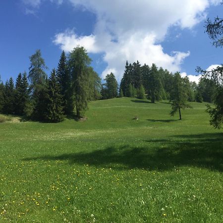 Wellness E Resort Stella Delle Alpi Ronzone Luaran gambar