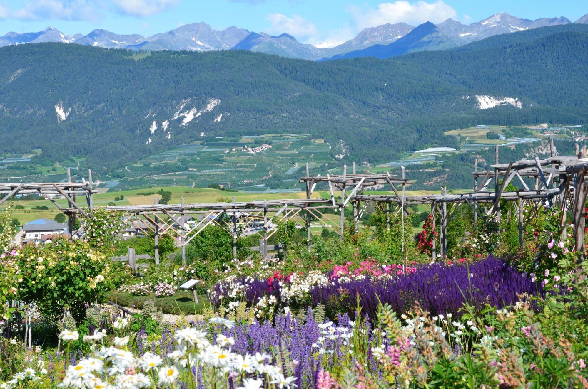 Wellness E Resort Stella Delle Alpi Ronzone Luaran gambar