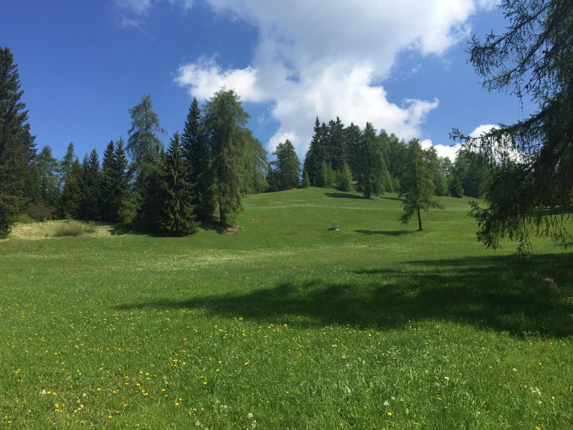 Wellness E Resort Stella Delle Alpi Ronzone Luaran gambar